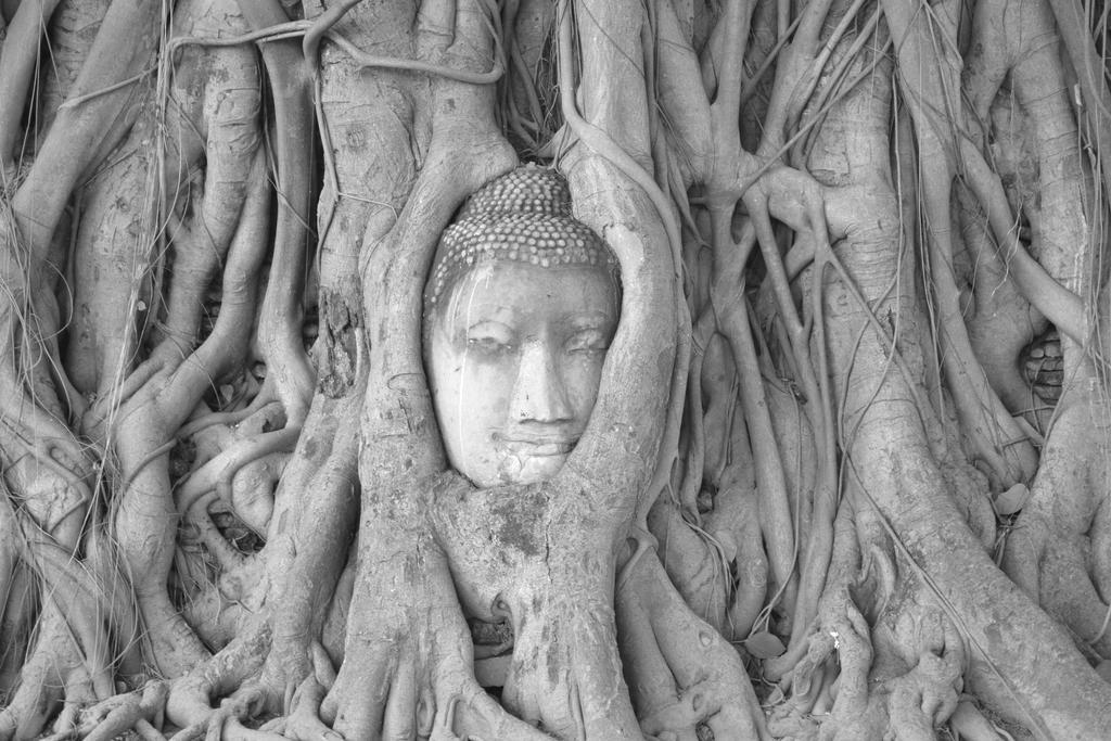 Brickhouse Ayutthaya Guesthouse Est 1986 Exteriér fotografie